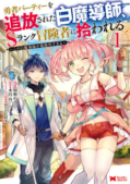 Yuusha Party wo Tsuihou Sareta Shiro Madoushi, S Rank Boukensha ni Hirowareru: Kono Shiro Madoushi ga Kikakugaisugiru